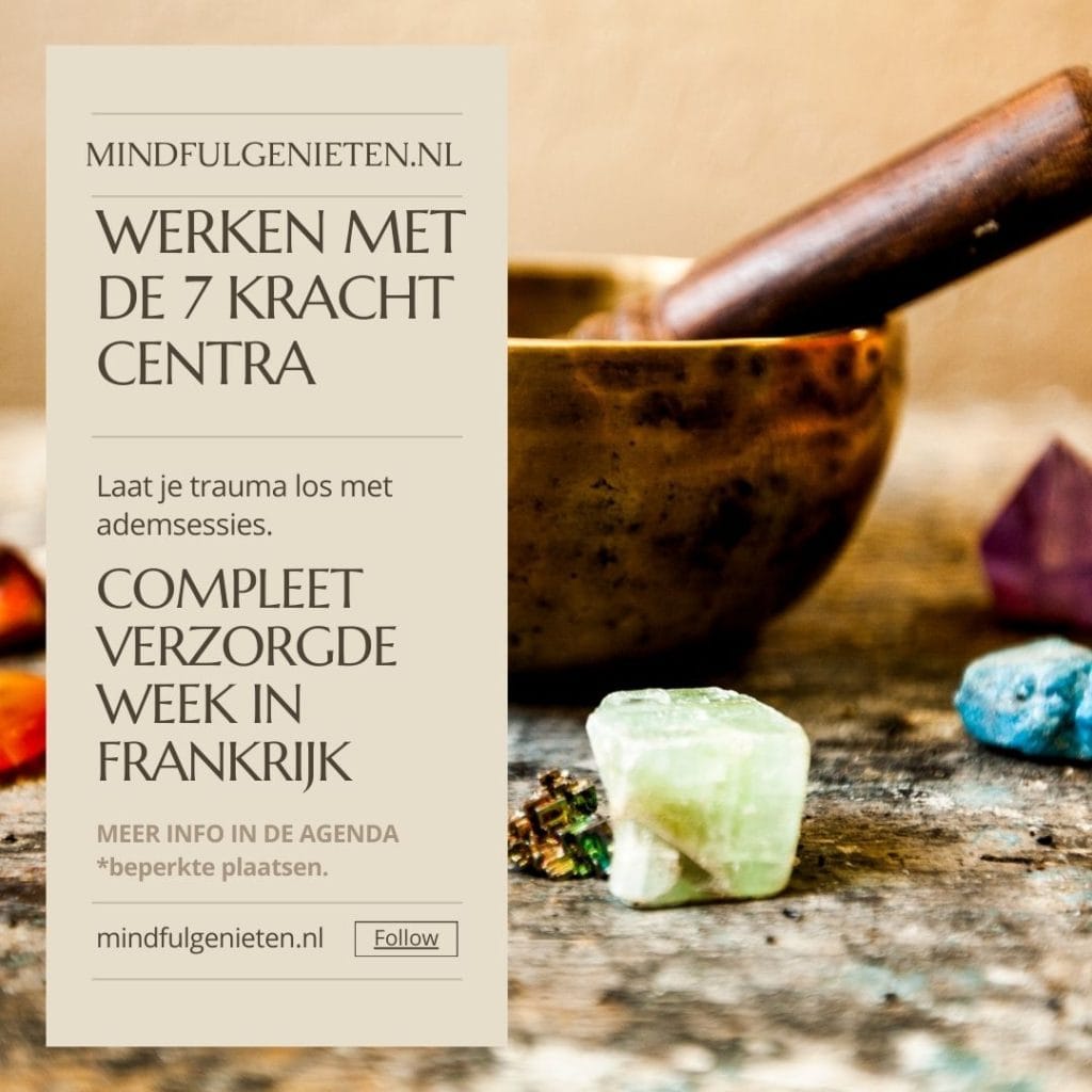 De 7 krachtcentra | Holistisch centre | GiteLaGrange