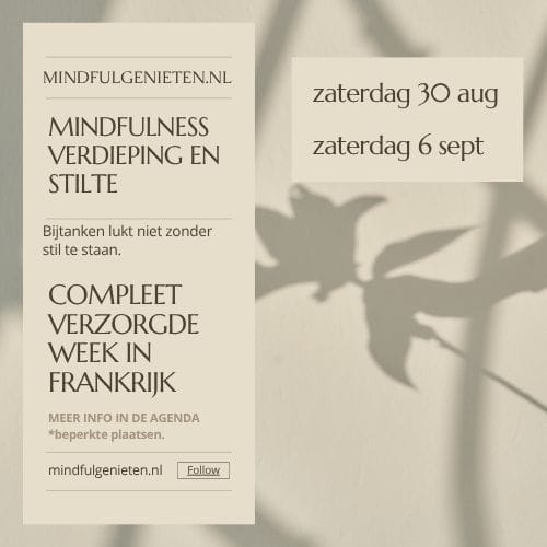 Mindfulness verdieping en stilte week