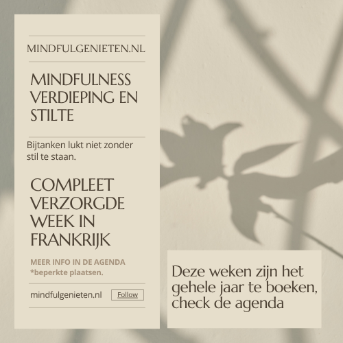 Mindfulness verdieping en stilte week