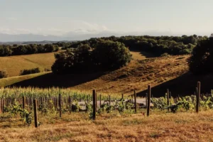 Midweek frankrijk gîte