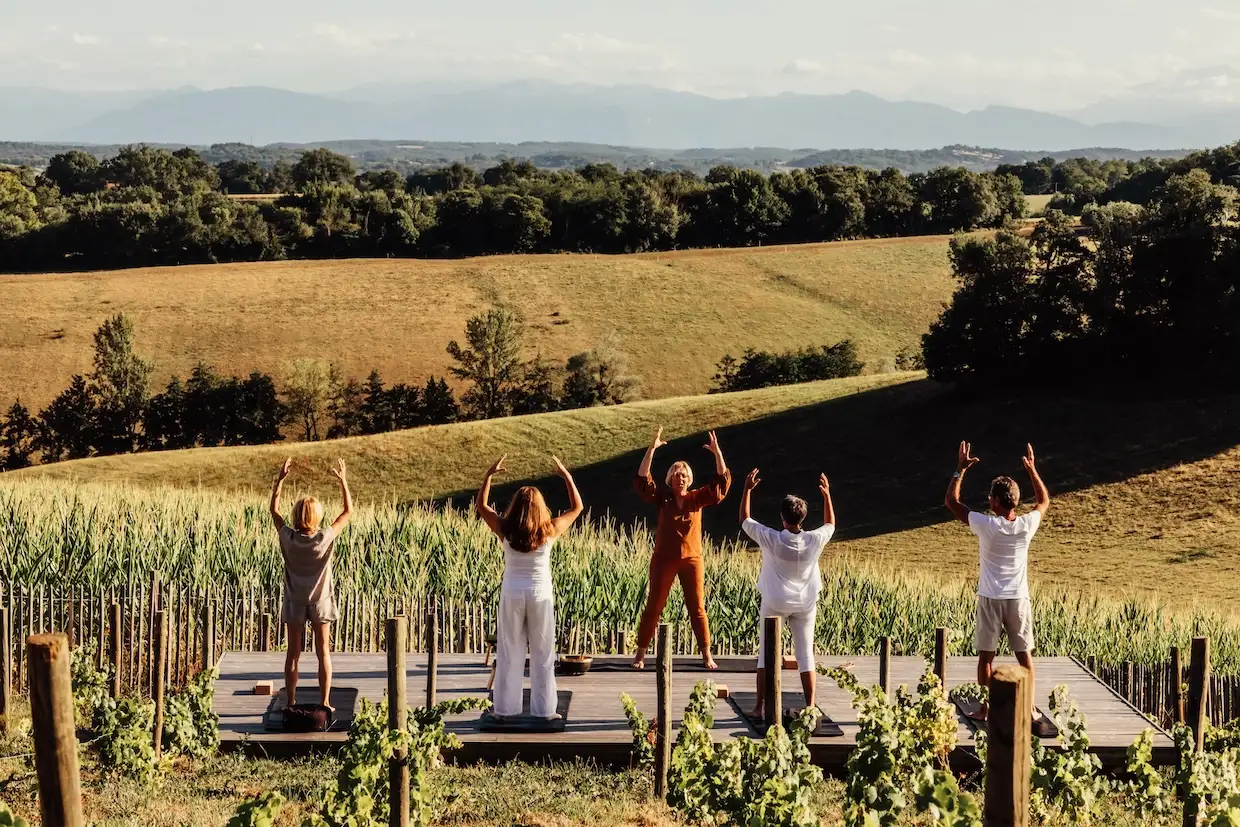 Wat te zien in de Vaucluse?